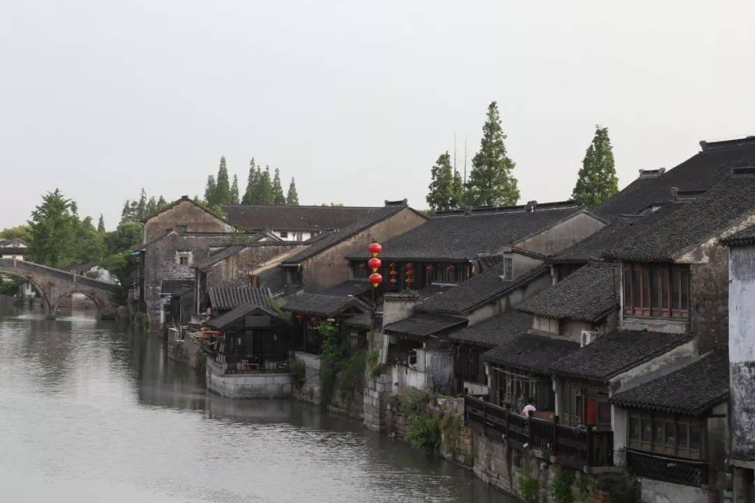 搜索引擎游戏画面